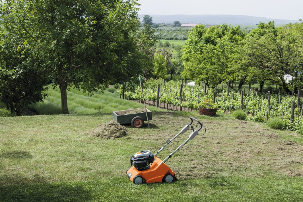 Vertikutátor STIHL RL 540 5 Vertikutátor STIHL RL 540