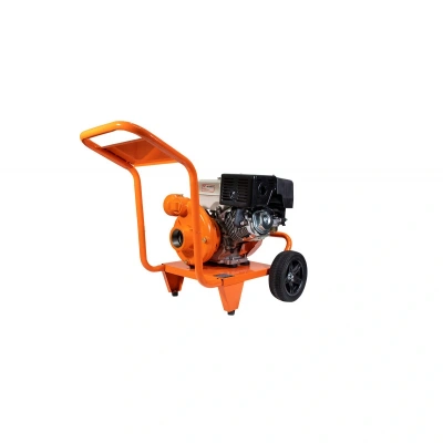RURIS motorové čerpadlo mp300xr